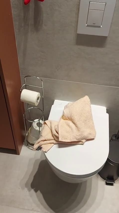 אסלה תלויה עם מיכל סמוי בחדר רחצה משופץ
